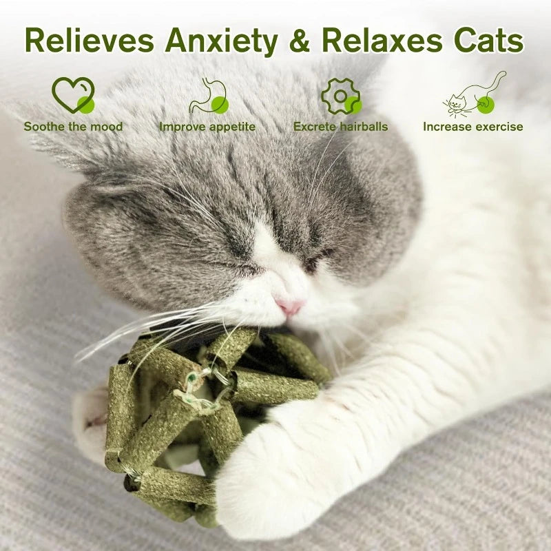 Cat Grass Stick Cage Bell Ball Catnip Tease Toys Safe Cleaning Teeth Fresh Breath Emetic Hairball Hand Woven Balls Pet Supplies