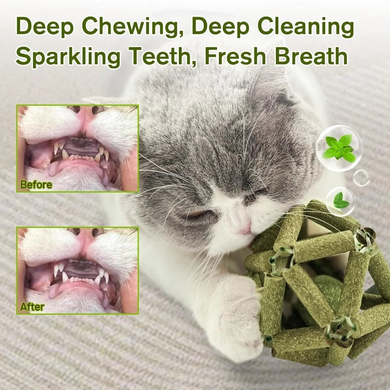 Cat Grass Stick Cage Bell Ball Catnip Tease Toys Safe Cleaning Teeth Fresh Breath Emetic Hairball Hand Woven Balls Pet Supplies