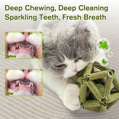Cat Grass Stick Cage Bell Ball Catnip Tease Toys Safe Cleaning Teeth Fresh Breath Emetic Hairball Hand Woven Balls Pet Supplies